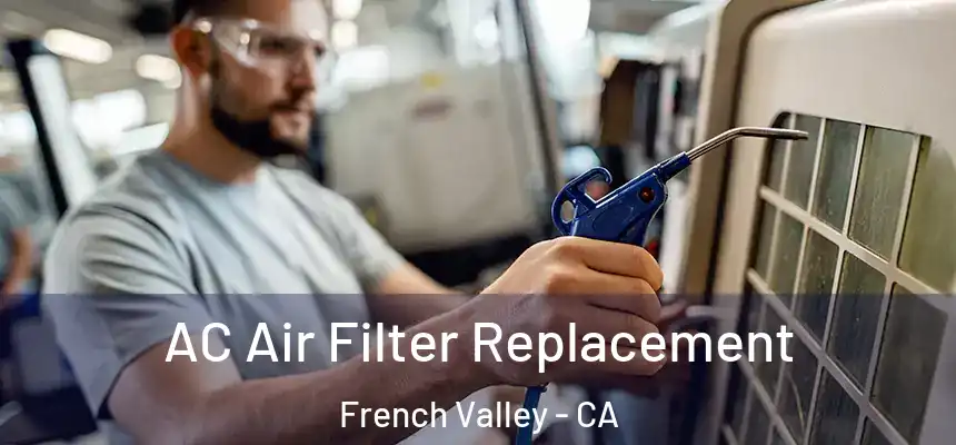  AC Air Filter Replacement French Valley - CA