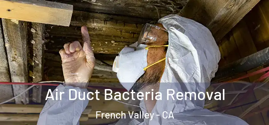  Air Duct Bacteria Removal French Valley - CA