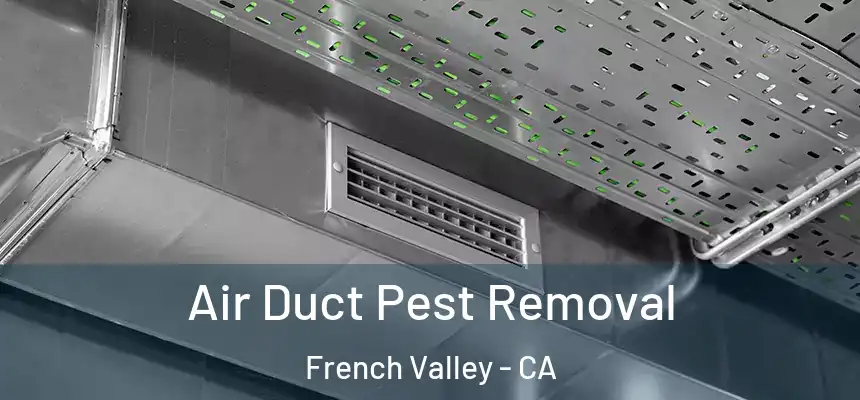  Air Duct Pest Removal French Valley - CA