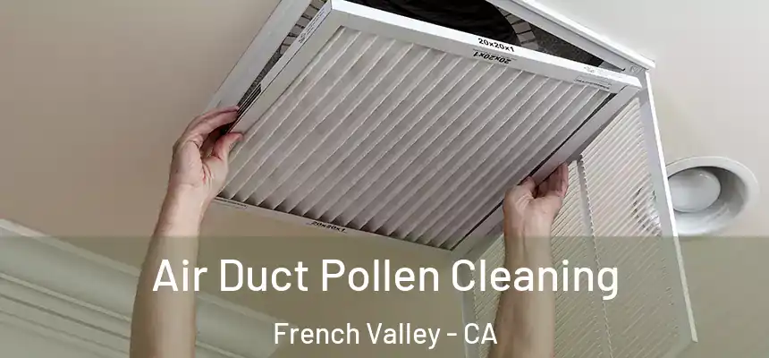  Air Duct Pollen Cleaning French Valley - CA