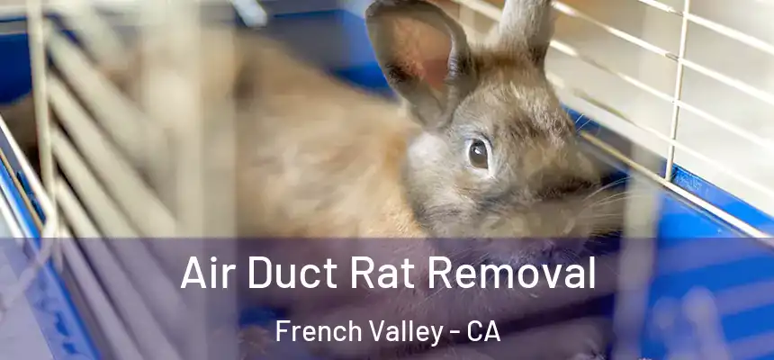 Air Duct Rat Removal French Valley - CA
