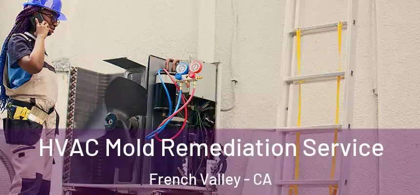 HVAC Mold Remediation Service French Valley - CA