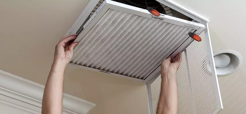 Preventive Cockroach-Proofing for Ducts in French Valley