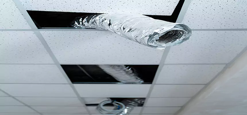 Our Air Duct Pet Hair Removal Services in French Valley, CA