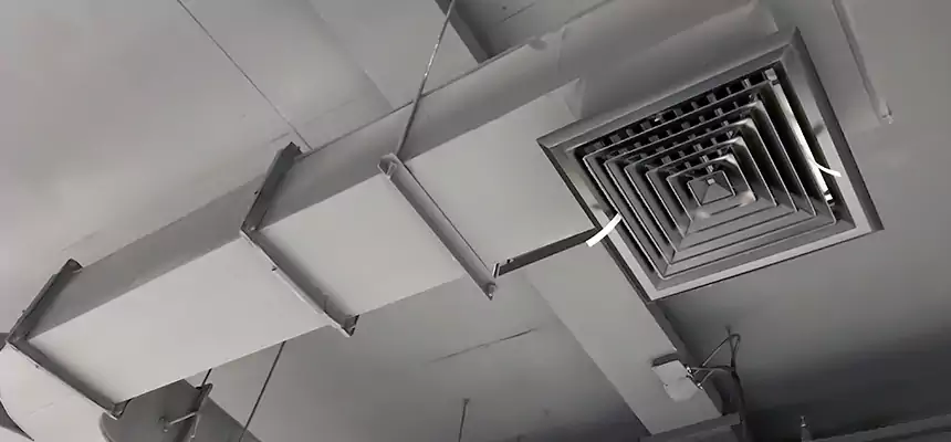 Restorative Allergy Relief Vent Cleaning – Coil, Blower & Housing Detail in French Valley