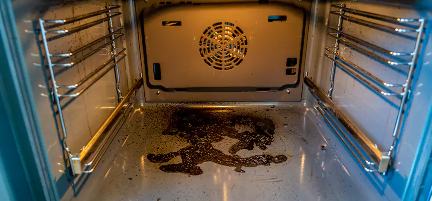 Our Dryer Vent Mold Cleaning Services in French Valley, CA