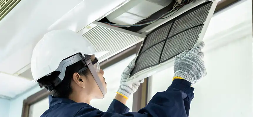 Our Lint Trap Cleaning Service Services in French Valley, CA