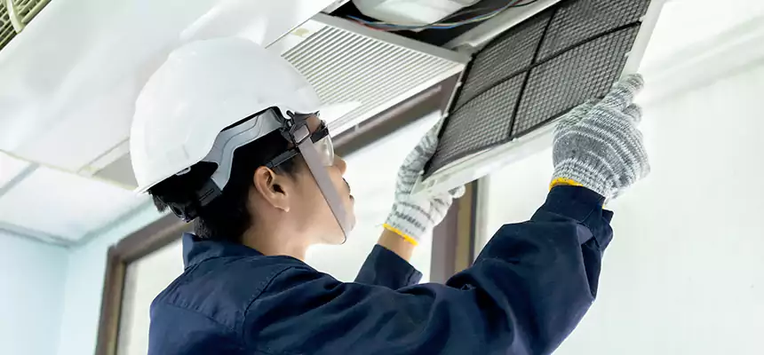 Our Mold & Mildew Removal from Air Ducts Services in French Valley, CA