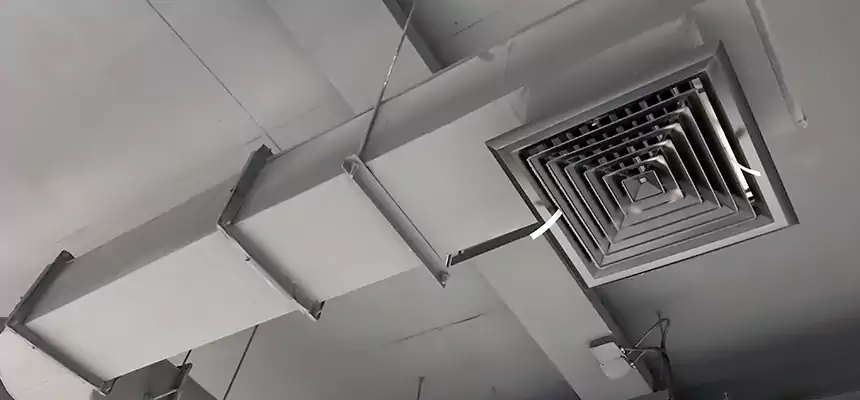 Our Pest Removal From Ducts Services in French Valley, CA