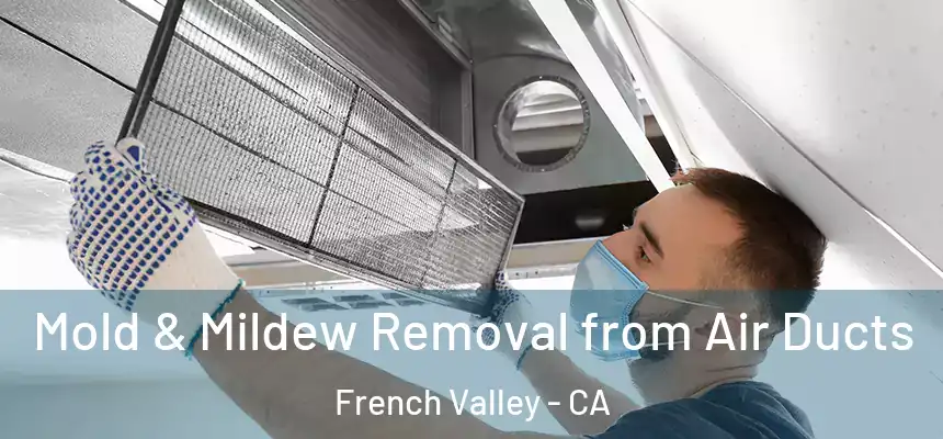  Mold & Mildew Removal from Air Ducts French Valley - CA