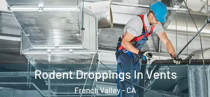  Rodent Droppings In Vents French Valley - CA