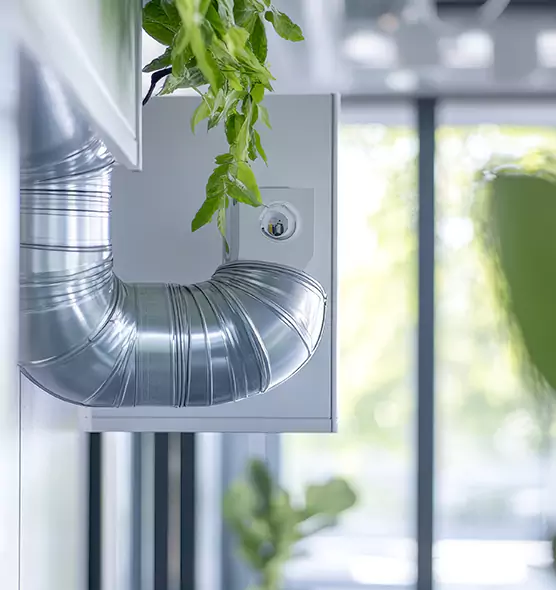 Professional Eco-Friendly Duct Cleaning Services in French Valley, CA