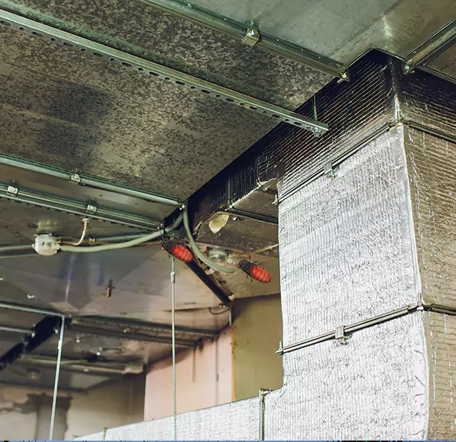 Why Homeowners & Businesses Trust Us in French Valley, CA?