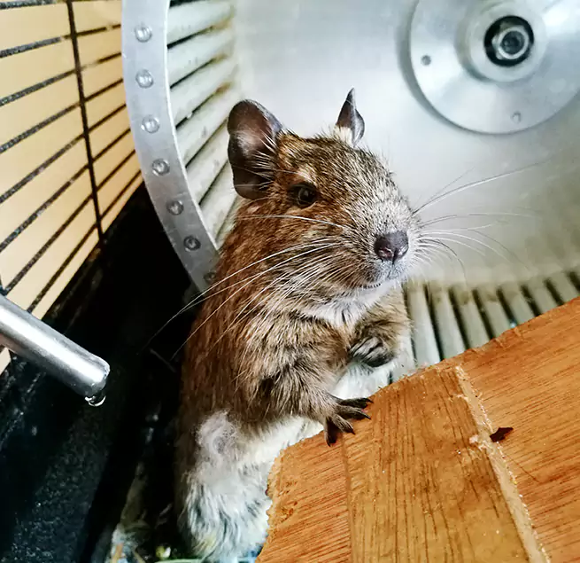 Why Homeowners & Businesses Trust Us French Valley, CA