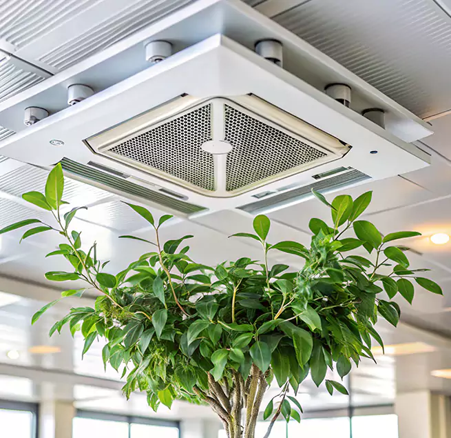 Why Homeowners & Businesses Trust Us in French Valley, CA?